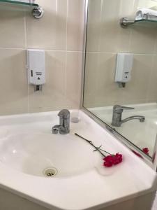 a bathroom sink with a red rose on it at Mandalay Motel in Roma