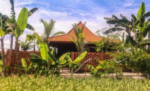 una casa con un montón de plantas delante de ella en Kampung Canggu, en Canggu