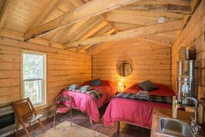 two beds in a room with wooden walls at Blackburn Cabins - McCarthy, Alaska in McCarthy