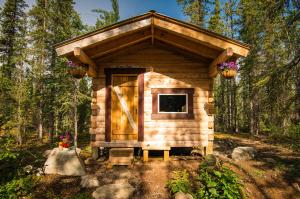 Zahrada ubytování Blackburn Cabins - McCarthy, Alaska
