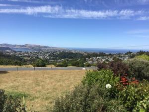 a field of grass with the ocean in the background at Self contained and private room in Dunedin