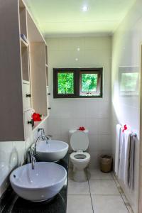 ein Bad mit einem Waschbecken, einem WC und einem Fenster in der Unterkunft Surf Tropical Villa Takamaka in Île au Cerf