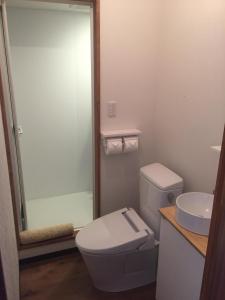 a bathroom with a toilet and a sink at Raicho Lodge Madarao in Iiyama