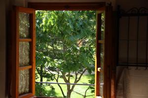 Zahrada ubytování Podere Fichereto Tuscany Apartment in Florence countryside