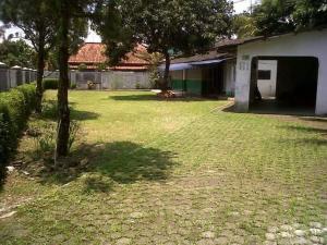 a yard with a tree and a house at Griya Palayu in Bogor