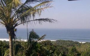 a palm tree with the ocean in the background at Isigidi Beach House in Port Shepstone
