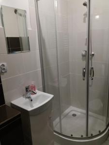 y baño con ducha y lavamanos. en Business Apartments 1, en Bydgoszcz