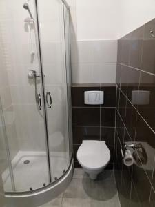 a bathroom with a toilet and a glass shower at Business Apartments 1 in Bydgoszcz