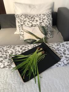 een dienblad met een plant op een bed bij Nico Apartments in Krakau