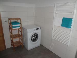 a laundry room with a washing machine and a ladder at Weinstraßenapartment Fam. Dietrich in Ratsch an der Weinstraße