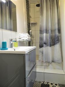 ein Bad mit einem Waschbecken und einer Dusche in der Unterkunft Les Clochers d'Or in Chartres