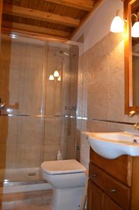 a bathroom with a shower and a toilet and a sink at casa rural La Gabina in Muñogalindo