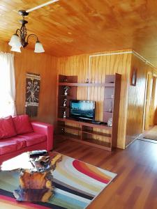 TV a/nebo společenská místnost v ubytování CABAÑA HUALAIHUE AUSTRAL