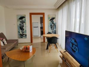 TV a/nebo společenská místnost v ubytování Appartements Lamblin
