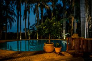 a swimming pool with a potted plant and palm trees at Loskop Valley Lodge in Groblersdal