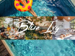 Fotografia z galérie ubytovania Blue Ivy #FeelsLikeHome v destinácii Vourvourou