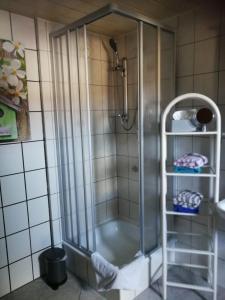 y baño con ducha y mampara de cristal. en Pension Harmonie, en Erfurt