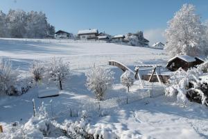 Gästehaus Fidelis om vinteren