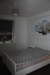 - une chambre avec un lit et une fenêtre dans l'établissement Andrea, à Lübeck