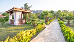 Zahrada ubytování Nerissa Hotel