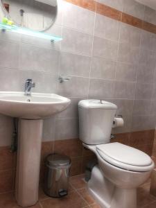 a bathroom with a white toilet and a sink at Varosi Guesthouse in Edessa