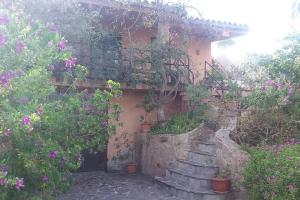 A garden outside Villetta Porto Corallo