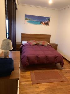 een slaapkamer met een bed met een paars dekbed bij A casiña do Rodri in Ribadavia
