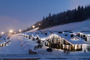 a row of houses in the snow at night at Chalet BFamilyHouse Bukovel in Bukovel
