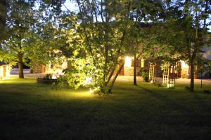 Zahrada ubytování Podere Fichereto Tuscany Apartment in Florence countryside