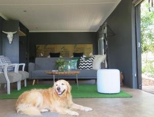 a dog laying on the floor in a living room at The Studio @ Mount View Lodge in Sedgefield
