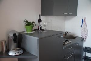 una pequeña cocina con fregadero y nevera. en Apartment Sunnseitn am Verditz, en Verditz