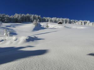 Neuhauserhof talvel