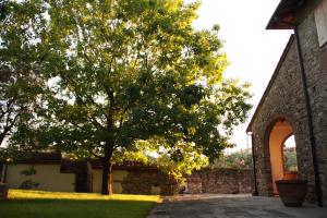 Zahrada ubytování Podere Fichereto Tuscany Apartment in Florence countryside