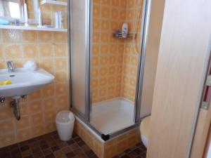 ein Bad mit einer Dusche und einem Waschbecken in der Unterkunft Haus Bergschmied in Inzell