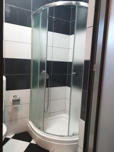 a glass shower in a bathroom with black and white tiles at Hollywood Motel in Podlugovi