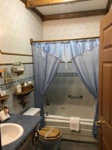 a bathroom with a shower and a toilet and a sink at Auberge La Cote d'Or in Petite-Rivière-Saint-François