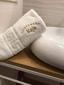 a towel sitting on a shelf next to a bowl at Szczawnica Apartament Kaja in Szczawnica