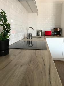 Kuchyňa alebo kuchynka v ubytovaní Szczawnica Apartament Kaja