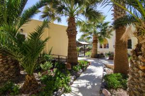 a walkway with palm trees and flowers at Smaragdi in Perivolos