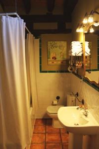 een badkamer met een toilet, een wastafel en een douche bij La Casona de Lucía in Sigüenza