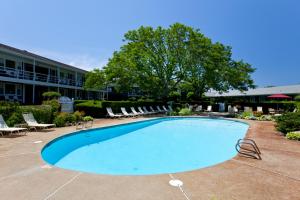 a large swimming pool with chairs and a tree at The Seaglass Inn & Spa in Provincetown