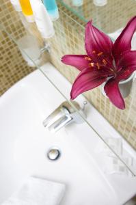 a purple flower sitting on top of a bathroom sink at Smaragdi in Perivolos