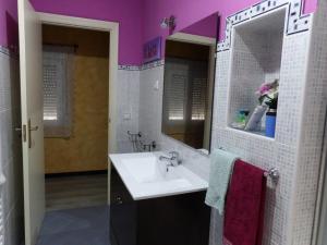 a bathroom with a sink and a mirror at La Palmera de la Insula in Alcalá de Ebro