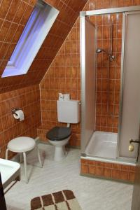 uma casa de banho com um WC e um chuveiro em Lauchertstüble em Veringenstadt