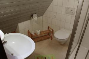 a small bathroom with a toilet and a sink at Lauchertstüble in Veringenstadt