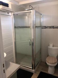 a bathroom with a glass shower with a toilet at Gîte Akwarel in Vieux-Habitants