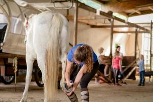 a woman bending down to pet a white horse at Nengshof Ferienhäuser Sonnenblume und Heublume in Wißmannsdorf