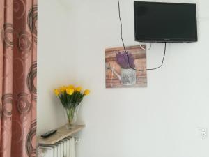 una stanza con televisore e vaso di fiori su un termosifone di Venice Vacation House a Marghera