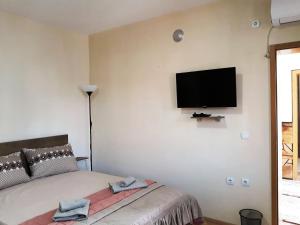 sypialnia z łóżkiem i telewizorem z płaskim ekranem na ścianie w obiekcie Villa Domina w mieście Gewgelija