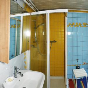y baño con ducha, lavabo y espejo. en Ferienwohnung Blockheide, en Gmünd